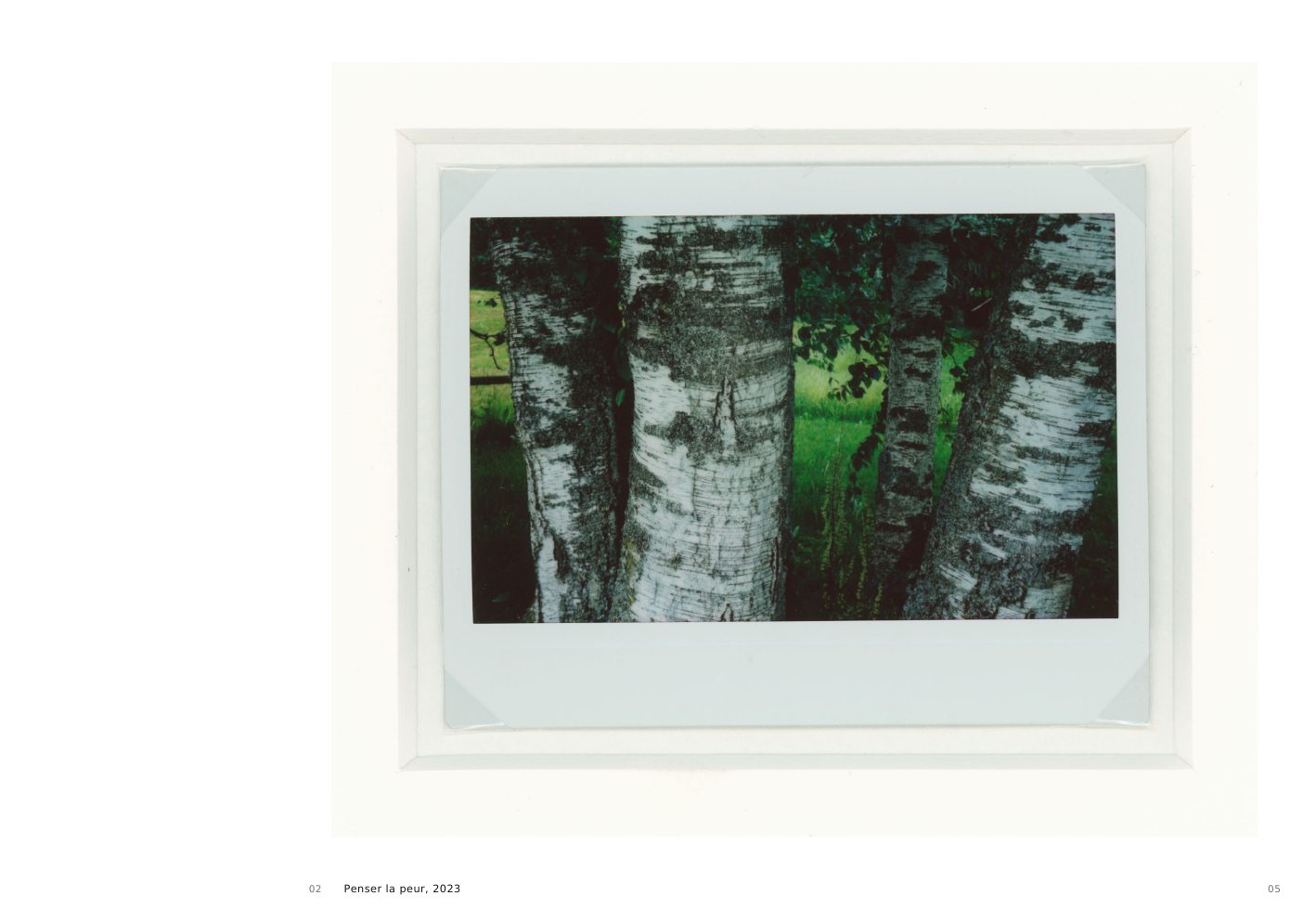 Penser la peur, 2023, a framed image of trees crossed by a green figure