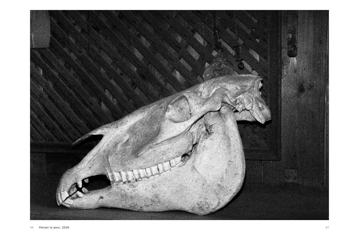 Penser la peur, 2026, a black and white animal skull in a wooden interior