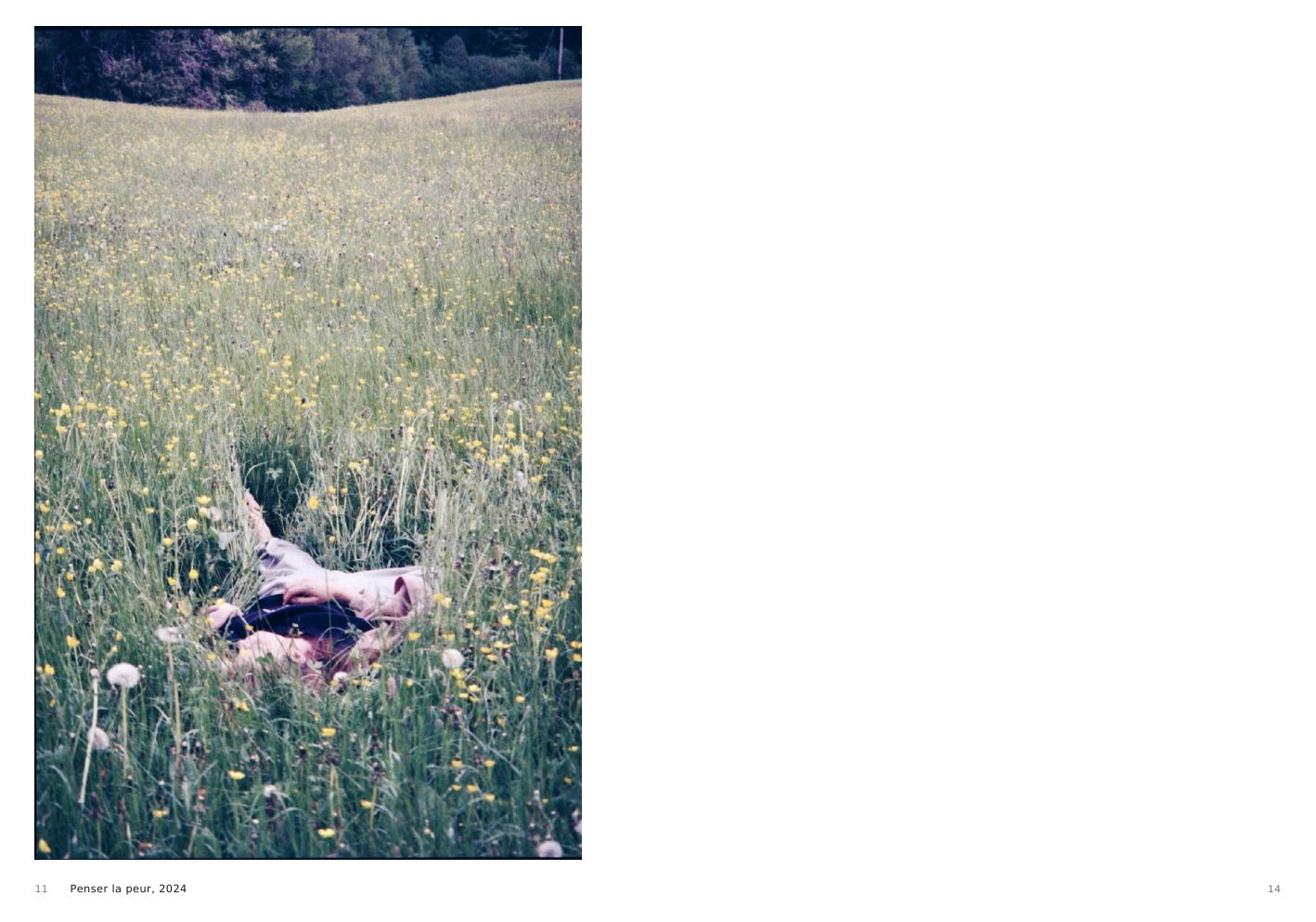 Penser la peur, 2024, a person lying in a wildflower meadow