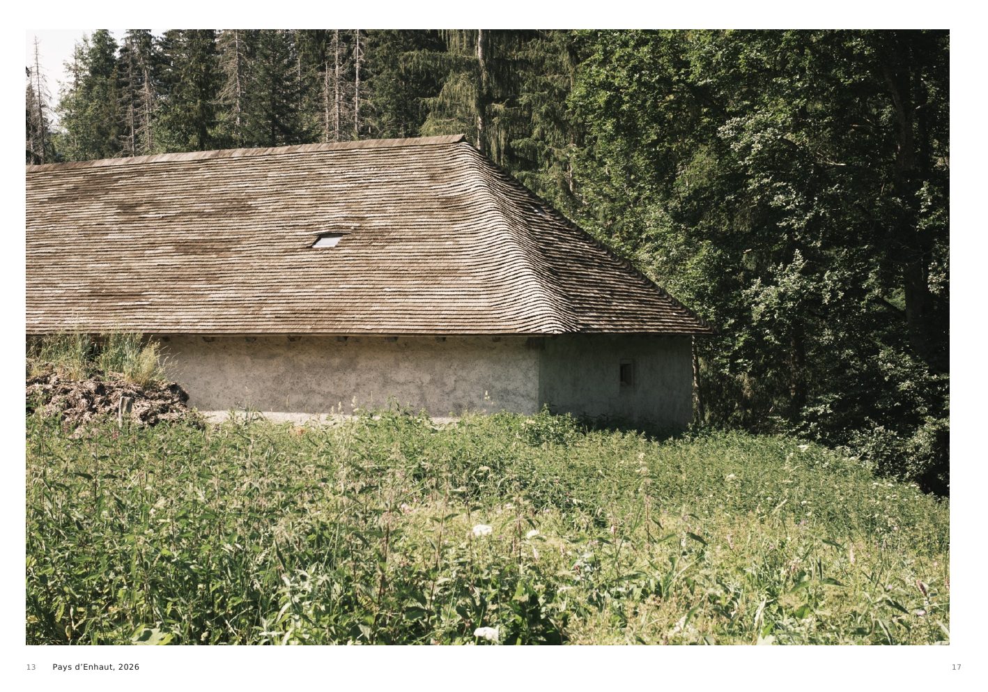 Pays d’Enhaut, 2026, a low wooden chalet surrounded by a summer meadow